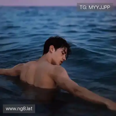 何鹰辉